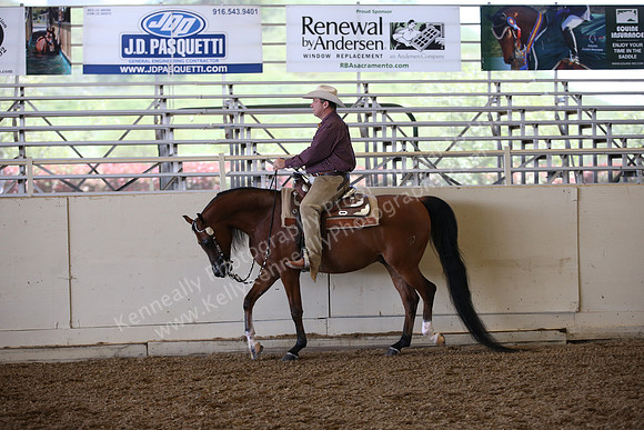 AHANC_Show18_ThursPM_551