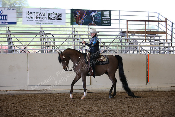 AHANC_Show18_ThursPM_562