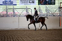 Class 25 Arabian Hunter Pleasure Pl-Geldings