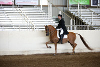 Class 26 Arabian English Show Hack-Open