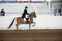 AHANC_Show18_ThursPM_665