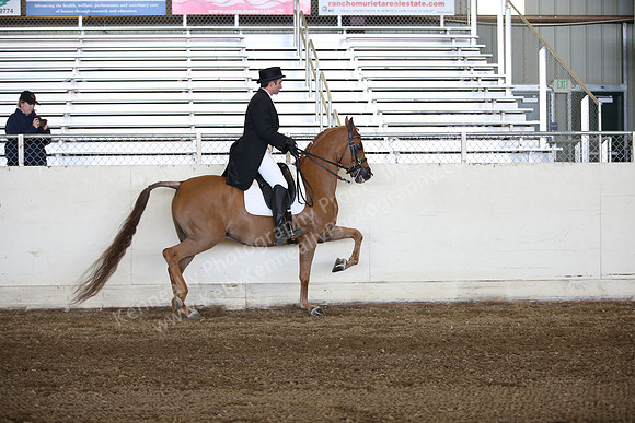 AHANC_Show18_ThursPM_665