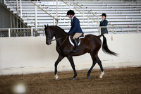 Class 27 Arabian Hunter Pleasure Walk/Trot-ATR