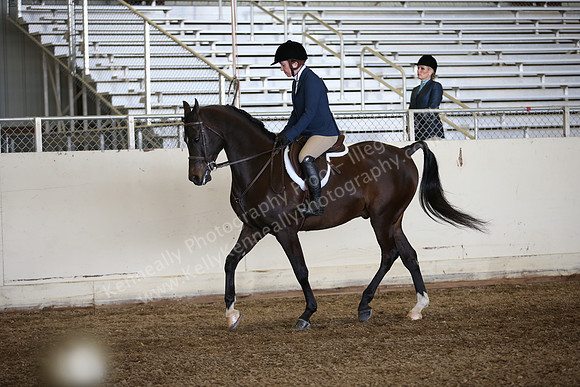 AHANC_Show18_ThursPM_690