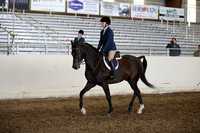 AHANC_Show18_ThursPM_703