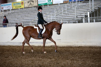 AHANC_Show18_ThursPM_707