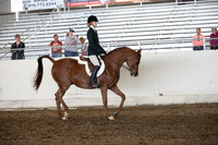 AHANC_Show18_ThursPM_709
