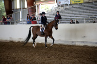AHANC_Show18_ThursPM_711