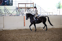 Class 29 Arabian Hunter Pl AATR Select Riders
