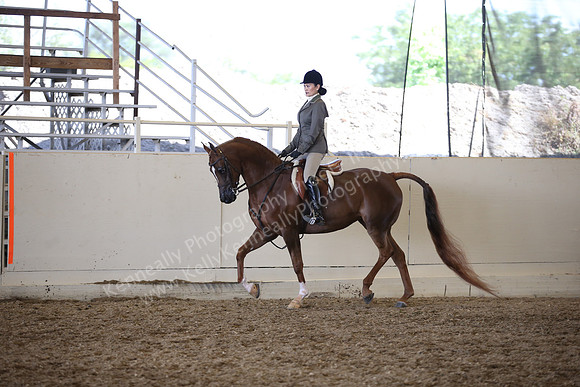 AHANC_Show18_ThursPM_735