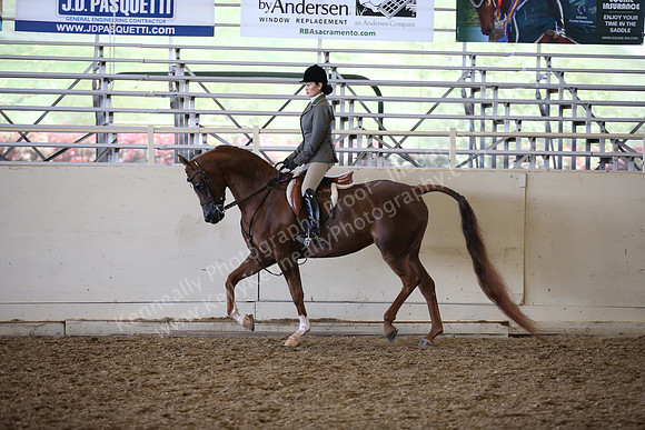 AHANC_Show18_ThursPM_736