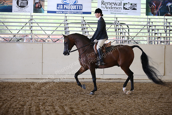 AHANC_Show18_ThursPM_738