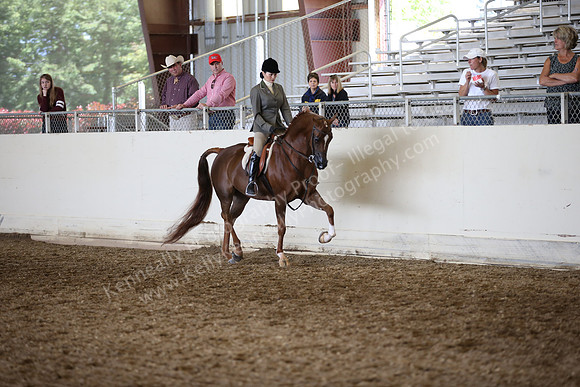 AHANC_Show18_ThursPM_751