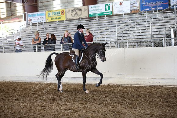 AHANC_Show18_ThursPM_754