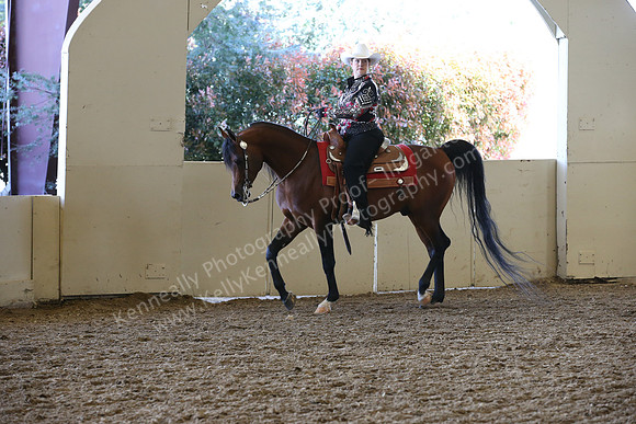 AHANC_Show18_ThursPM_774