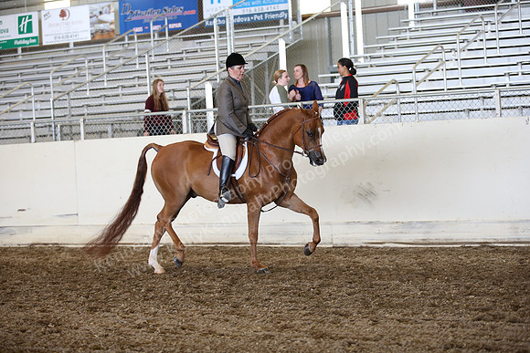 AHANC_Show18_ThursPM_756