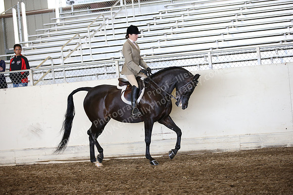 AHANC_Show18_ThursPM_762