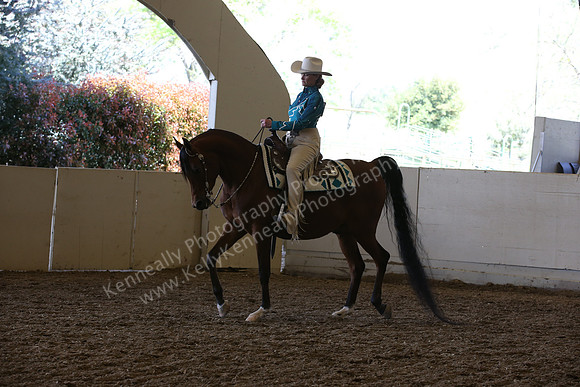 AHANC_Show18_ThursPM_777
