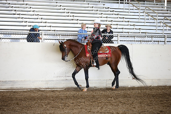 AHANC_Show18_ThursPM_782