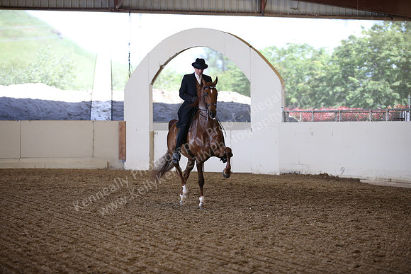 AHANC_Show18_ThursPM_790