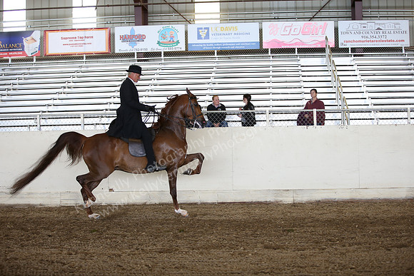 AHANC_Show18_ThursPM_797