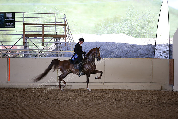 AHANC_Show18_ThursPM_800