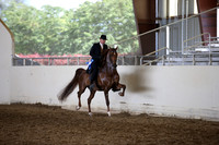 AHANC_Show18_ThursPM_803