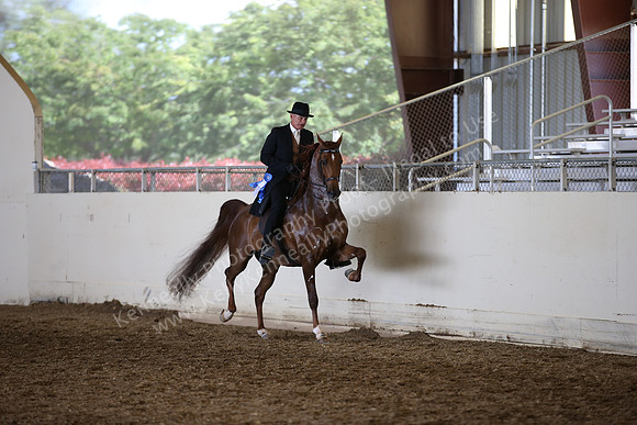 AHANC_Show18_ThursPM_803