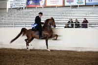 AHANC_Show18_ThursPM_807