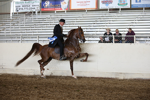 AHANC_Show18_ThursPM_807