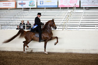 AHANC_Show18_ThursPM_808