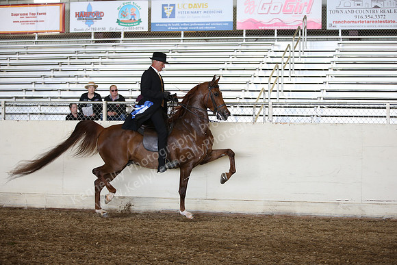 AHANC_Show18_ThursPM_808