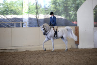 Class 33 Arabian Hunter Pl JOTR 14-18