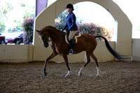 AHANC_Show18_ThursPM_821