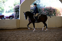 AHANC_Show18_ThursPM_823