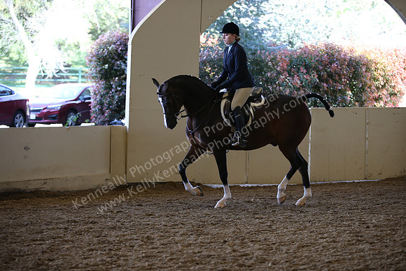 AHANC_Show18_ThursPM_823