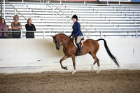 AHANC_Show18_ThursPM_829