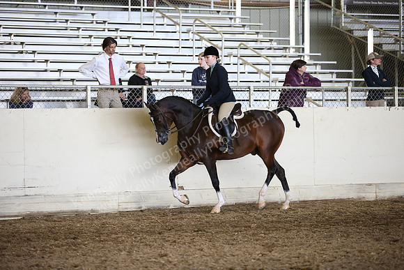 AHANC_Show18_ThursPM_831