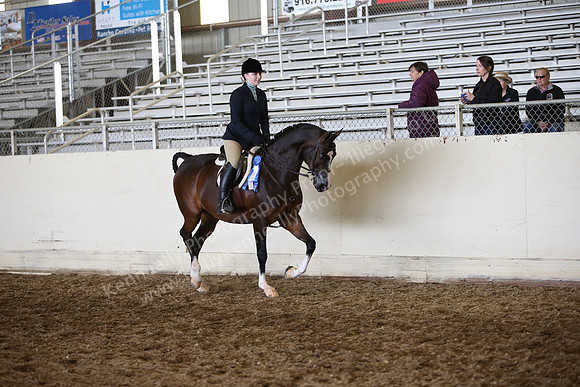 AHANC_Show18_ThursPM_845