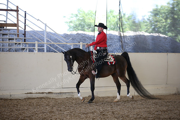 AHANC_Show18_ThursPM_851