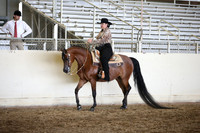 AHANC_Show18_ThursPM_867