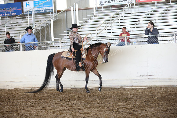 AHANC_Show18_ThursPM_868