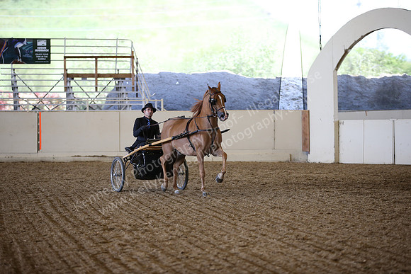 AHANC_Show18_ThursPM_878