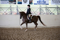 Class 35 Arabian Hunter Pl JOTR 13 & under