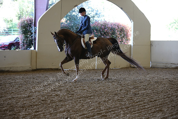 AHANC_Show18_ThursPM_886