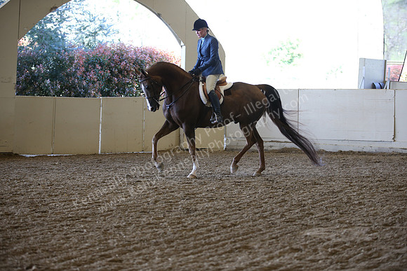AHANC_Show18_ThursPM_885