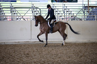 AHANC_Show18_ThursPM_888