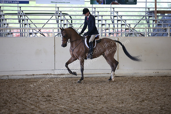 AHANC_Show18_ThursPM_888