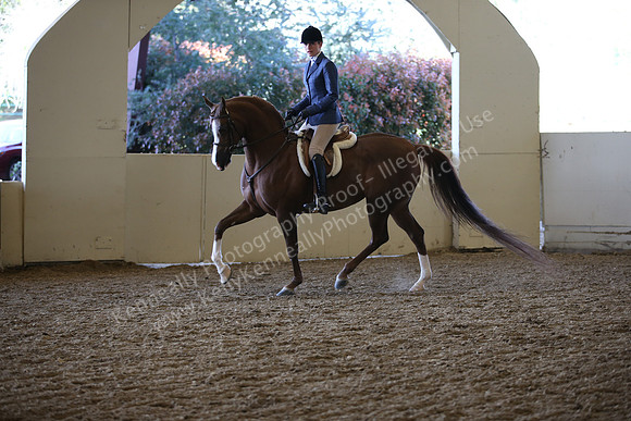 AHANC_Show18_ThursPM_889