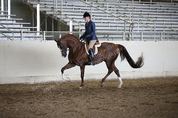 AHANC_Show18_ThursPM_893